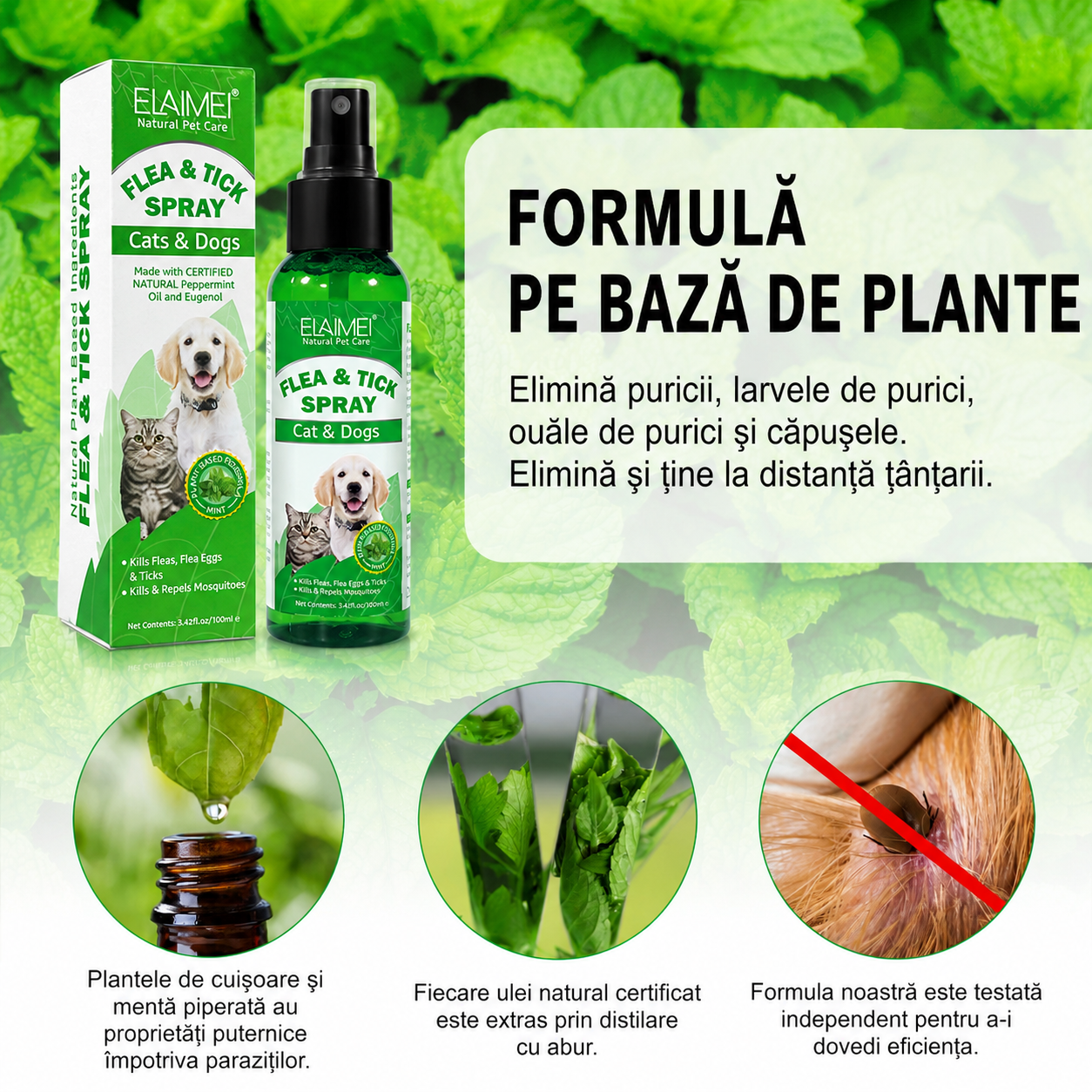 Spray Natural Anti-Purici și Căpușe — Protecție Reală pentru Câini și Pisici, Fără Chimicale, Fără Griji