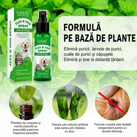Spray Natural Anti-Purici și Căpușe — Protecție Reală pentru Câini și Pisici, Fără Chimicale, Fără Griji