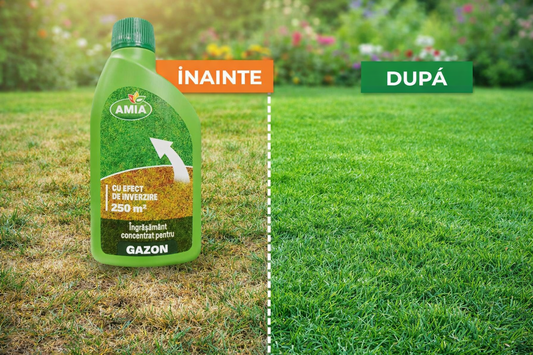 Îngrășământ Concentrat pentru Gazon – Efect Rapid de Înverzire și Revitalizare, 250ml